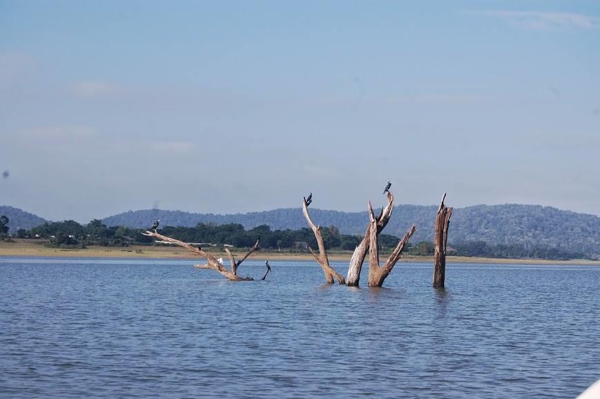 The Peepal Tree, Kabini Begur Exterior photo