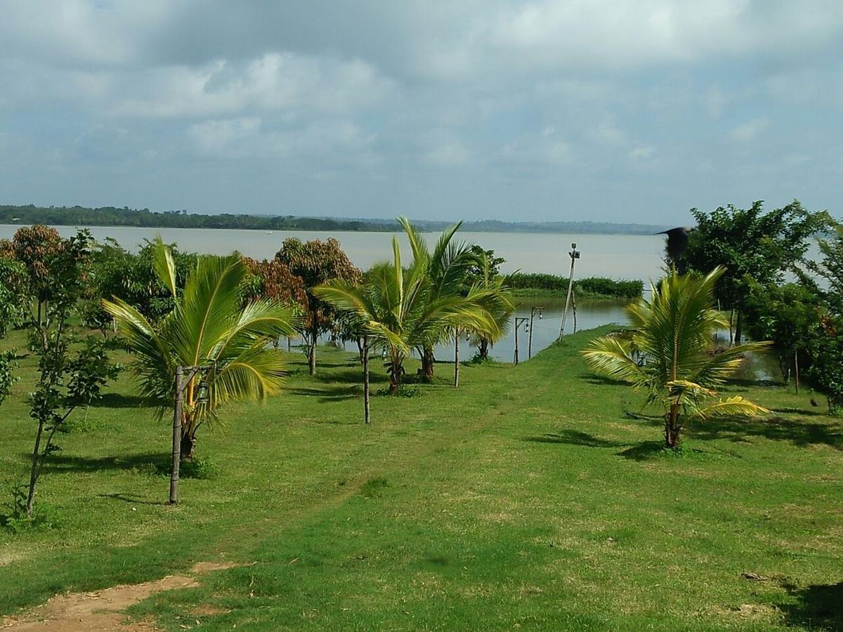 The Peepal Tree, Kabini Begur Exterior photo