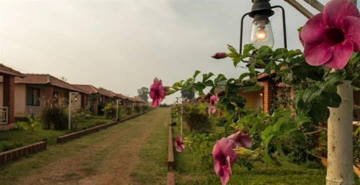The Peepal Tree, Kabini Begur Exterior photo